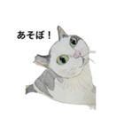 野良猫シリーズ(1)（個別スタンプ：2）