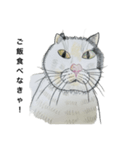 野良猫シリーズ(1)（個別スタンプ：8）