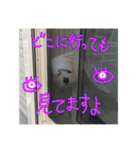 おぐしコハクのスタンプ①（個別スタンプ：7）