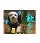 おぐしコハクのスタンプ①（個別スタンプ：21）
