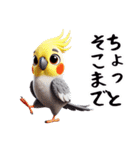 オカメインコとセキセインコ（個別スタンプ：4）