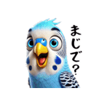 オカメインコとセキセインコ（個別スタンプ：9）