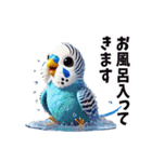 オカメインコとセキセインコ（個別スタンプ：11）