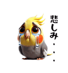 オカメインコとセキセインコ（個別スタンプ：12）