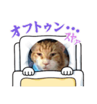こぶ平スタンプ（個別スタンプ：18）