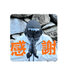 FPS男のLINEスタンプ・第弐弾（個別スタンプ：5）