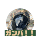 FPS男のLINEスタンプ・第弐弾（個別スタンプ：17）