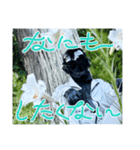 FPS男のLINEスタンプ・第弐弾（個別スタンプ：22）