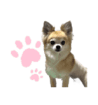 こことれおのラブリースタンプ（個別スタンプ：7）