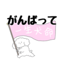 トイプーぽくちゃん（個別スタンプ：7）