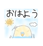 ☀︎元気いっぱいインコちゃん①（個別スタンプ：1）