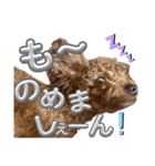 からあげとつくねPart2（個別スタンプ：1）