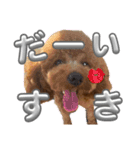 からあげとつくねPart2（個別スタンプ：9）