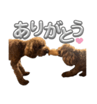 からあげとつくねPart2（個別スタンプ：10）