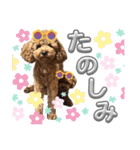 からあげとつくねPart2（個別スタンプ：14）