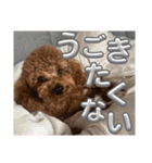 からあげとつくねPart2（個別スタンプ：18）