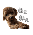 からあげとつくねPart2（個別スタンプ：20）