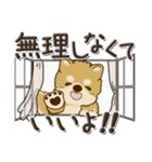 柴犬・茶色い犬『時々ストレートに』（個別スタンプ：38）