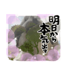 うにともちょ（個別スタンプ：1）