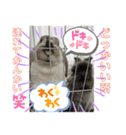 うにともちょ（個別スタンプ：3）