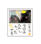 うにともちょ（個別スタンプ：4）