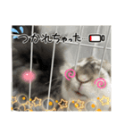 うにともちょ（個別スタンプ：12）