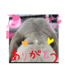 うにともちょ（個別スタンプ：16）