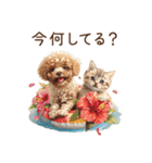 夏☆トイプードルと子猫スタンプ（個別スタンプ：34）