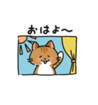 近藤家のねこちゃん5（個別スタンプ：12）