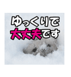 日常で使えるエゾクロテン（個別スタンプ：16）