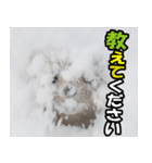 日常で使えるエゾクロテン（個別スタンプ：26）