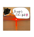 お酒とネコ好きな日常会話 9 あいさつver.（個別スタンプ：1）