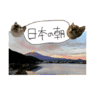 お酒とネコ好きな日常会話 9 あいさつver.（個別スタンプ：2）