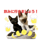 お酒とネコ好きな日常会話 9 あいさつver.（個別スタンプ：14）