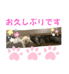 お酒とネコ好きな日常会話 9 あいさつver.（個別スタンプ：18）