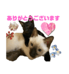 お酒とネコ好きな日常会話 9 あいさつver.（個別スタンプ：34）