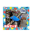 るくびっと（個別スタンプ：2）