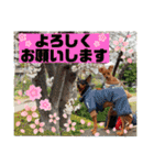 るくびっと（個別スタンプ：3）