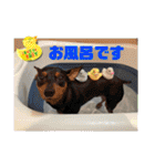 るくびっと（個別スタンプ：4）