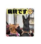 るくびっと（個別スタンプ：5）