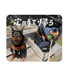 るくびっと（個別スタンプ：10）