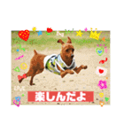 るくびっと（個別スタンプ：13）