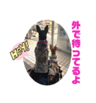 るくびっと（個別スタンプ：15）