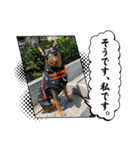 るくびっと（個別スタンプ：17）