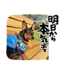 るくびっと（個別スタンプ：19）