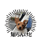 るくびっと（個別スタンプ：21）