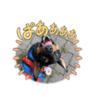 るくびっと（個別スタンプ：22）