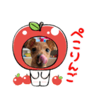 るくびっと（個別スタンプ：23）