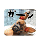 るくびっと（個別スタンプ：24）