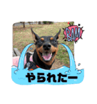 るくびっと（個別スタンプ：26）